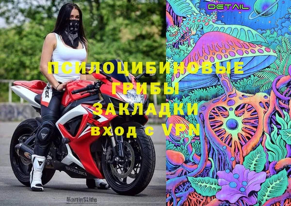 не бодяженный Аркадак