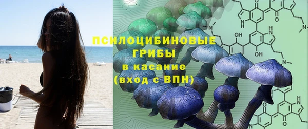 не бодяженный Аркадак