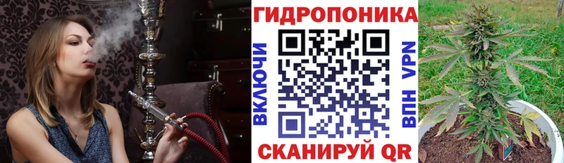 Марихуана индика  блэк спрут зеркало  Кашин  где продают наркотики 
